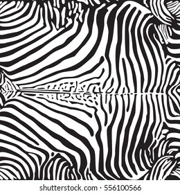 Zebra print pattern. Seamless background. Black and white wild animal skin or fur.