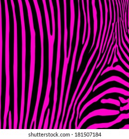 Zebra print, vector background.