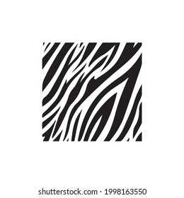 zebra print vector illustration design eps.10