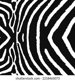 Zebra print.Black and white zebra stripes.Zebra stripes pattern