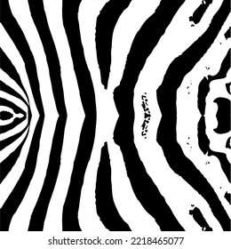 Zebra print.Black and white zebra stripes.Zebra stripes pattern