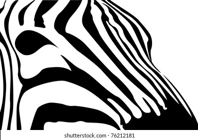 1,024 Face zebra profile Images, Stock Photos & Vectors | Shutterstock