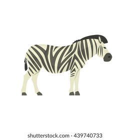 Zebra Realistic Simplified Drawing