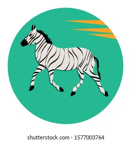 Zebra - round icon - isolated on white background - vector. Environmental Protection. Animal world.