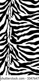 zebra run animal white exotic wild black expedition suede africa african wilderness silhouette hair science skin patterned marked template graphic stripe antelope backgrounds strip course shadow image