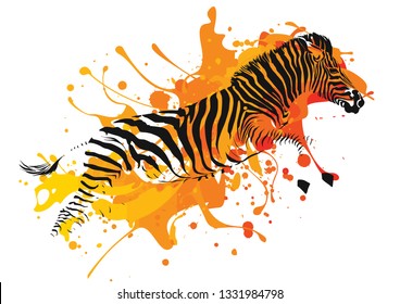 zebra running in a patch of paint