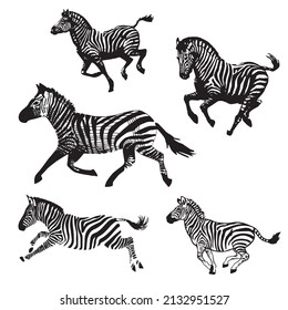 Zebra running set, animal isolated silhouette 