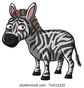 Zebra with sad face illustration