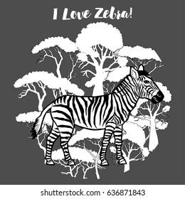 Zebra and savanna trees print. Hand drawn sketches. Vector Illustration