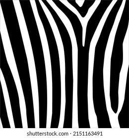 Zebra Seamless Motifs Pattern. Vector Illustration