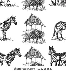 Zebra seamless pattern, animal hand drawn print