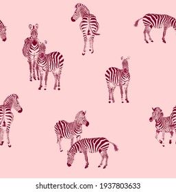 Zebra seamless pattern on pink background color, Safari Wildlife, Animal