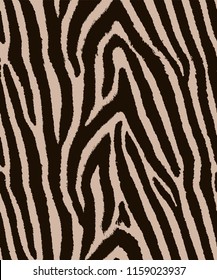Zebra seamless pattern, vector
