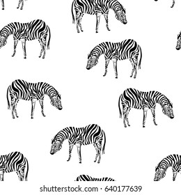 Zebra, seamless pattern, vector illustration