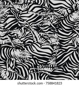 Zebra seamless pattern, vector illustration