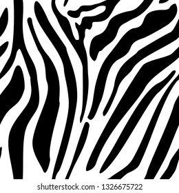 Zebra seamless pattern. Vector texture of wild animal skin. Black and white stripes. Zoo illustration.