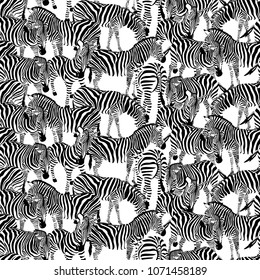 Zebra seamless pattern. Wild animal texture. Striped black and white. design trendy fabric texture, illustration.