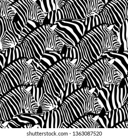 Zebra seamless pattern. Wild animal texture. Striped black and white. design trendy fabric texture, vector illustration.