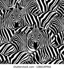 Zebra seamless pattern. Wild animal, striped black and white. design trendy fabric texture. Vector illustration isolated on white background.