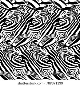 Zebra seamless pattern.  Wild animal texture design. Striped black and white. Vector illustration.