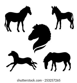 Zebra set of silhouettes vector