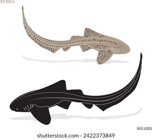 zebra shark icon uncommon icon