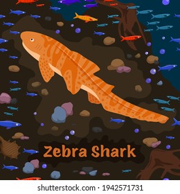 Zebra shark. Sea animals. Leopard sharks. Carpet shark, the sole member of the family Stegostomatidae. Save the ocean concept. Editable vector illustration in dark colors. Colorful cartoon flat style