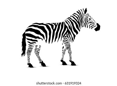 Zebra. Silhouette of black stripes.