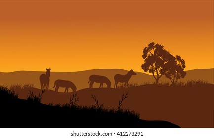 Zebra silhouette in the hills at sunset