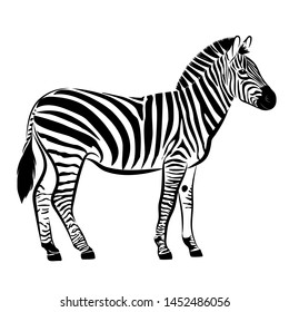 Zebra. Silhouette of horse with black and white stripes. Vector illustration.
