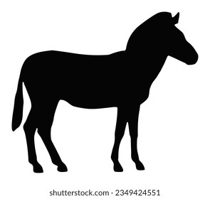 Silueta vectorial aislada de cebra.