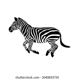 Zebra Silhouette on isolated background. Vector drawing