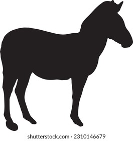 Zebra Silhouette on White Background
