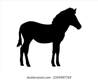Zebra silhouette vector art white background