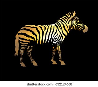 Zebra silhouette. Yellow tones of stripes. Black background.