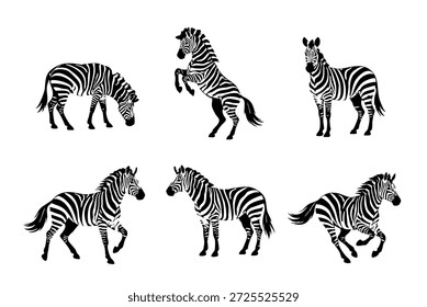 Zebra-Silhouetten-Set von 6 auf isoliertem Hintergrund