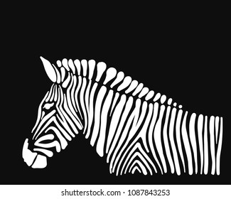 Zebra, sketch for your design