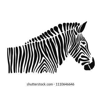 Zebra, sketch for your design. Vector illustration