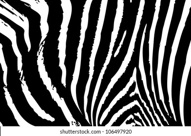 Zebra skin