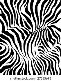 Zebra skin