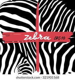 Zebra skin - 4 different background. Vector illustration
