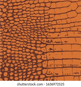 zebra skin animal vector texture abstract
