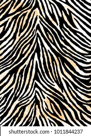 Zebra skin background