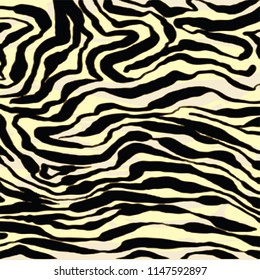 Zebra skin background