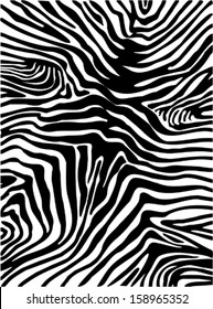 Zebra skin background