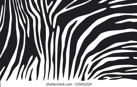 zebra skin background (animal print)