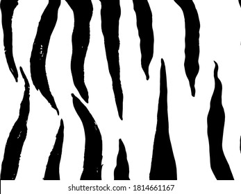 Zebra Skin Background. Savannah Trendy Pattern. Colorful Vector Animal Print.  Realistic Vector Zebra Skin. Luxury Print. Fashion Zebra Textile. Colorful Clothing. Safari Exotic Fabric.