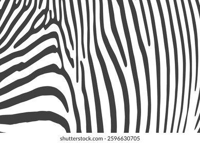 Zebra skin background vector. Animal fur, vector background for Fabric design, wrapping paper, textile, and wallpaper	