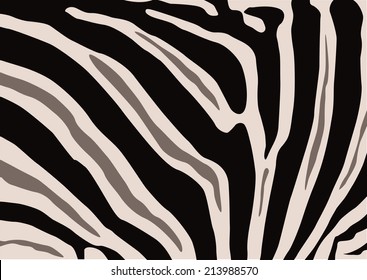 Zebra skin, pattern of Zebra