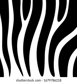 Zebra skin pattern. Animal fur ornate. Curved stripes ornament. Wildlife, natural texture. Wild animals motif image. Curves wallpaper. Digital paper, textile print, web design. Vector artwork